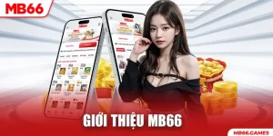 Giới thiệu MB66