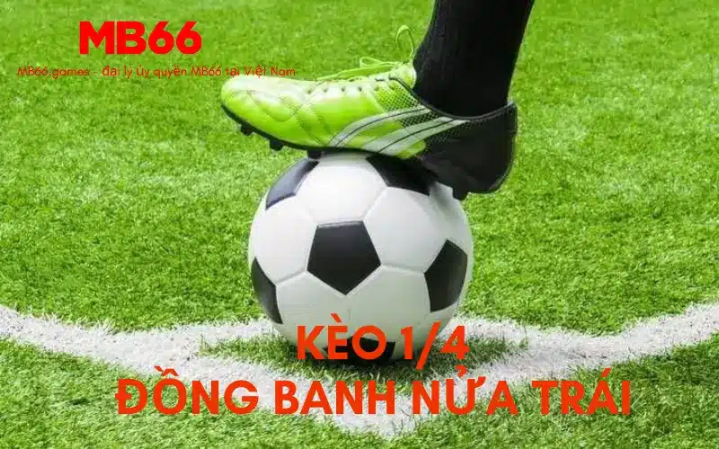 Kèo 1/4 - đồng banh nửa trái