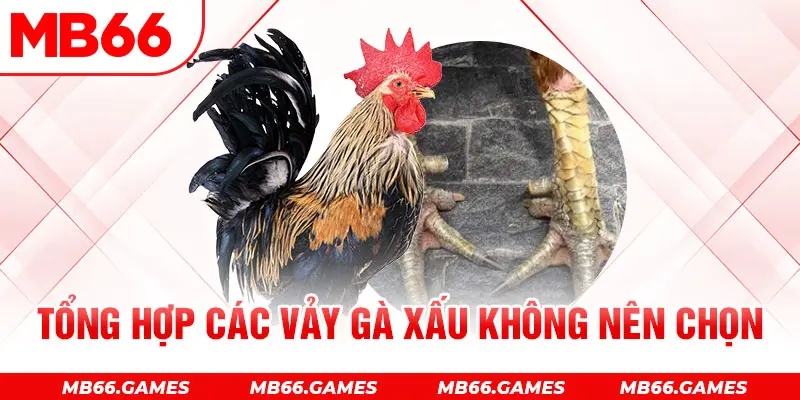 Tổng hợp các vảy gà xấu không nên chọn