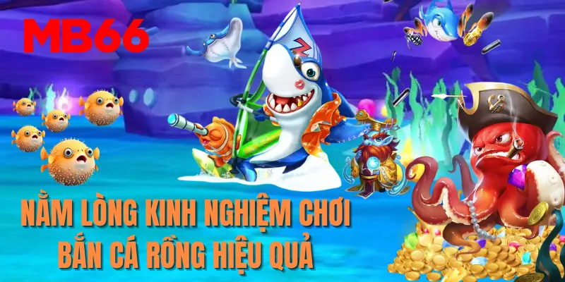 Nằm lòng kinh nghiệm, mẹo chơi bắn cá rồng hiệu quả nhất