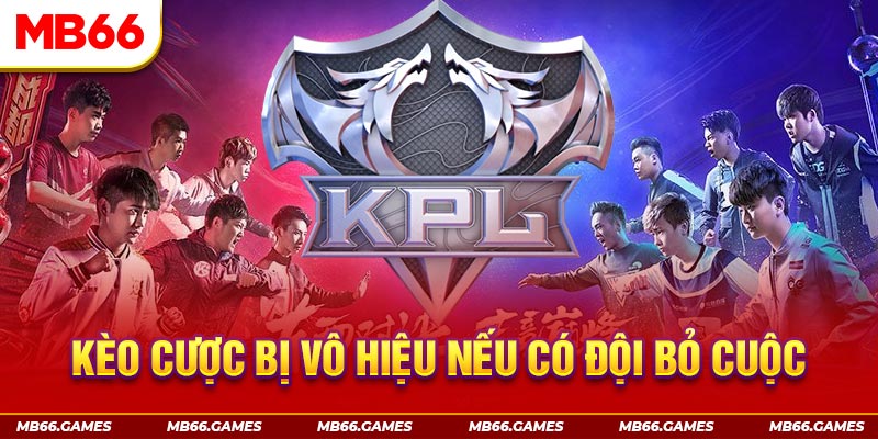 Tìm hiểu thông tin về Cá cược King Pro League Spring 2024 đội tham chiến